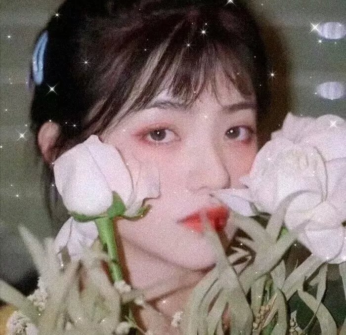 致我们单纯的小美好